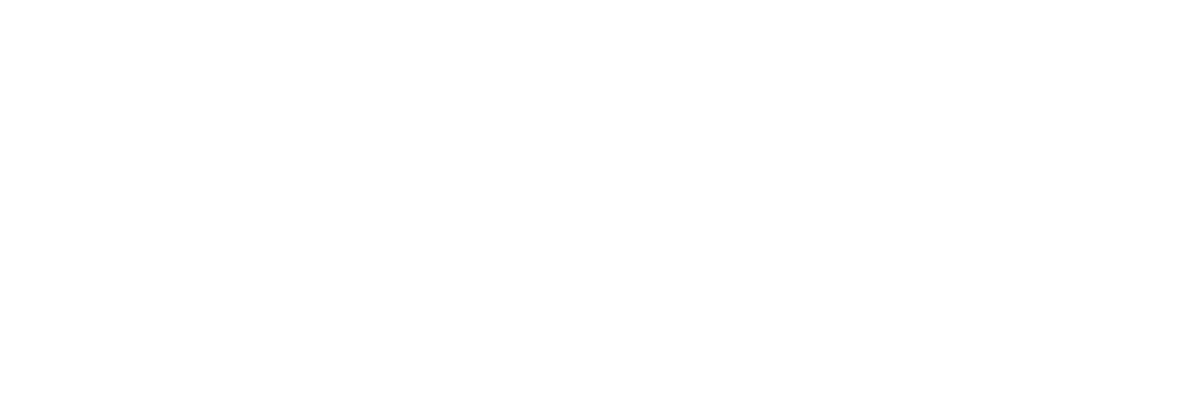 Chameleon Corp